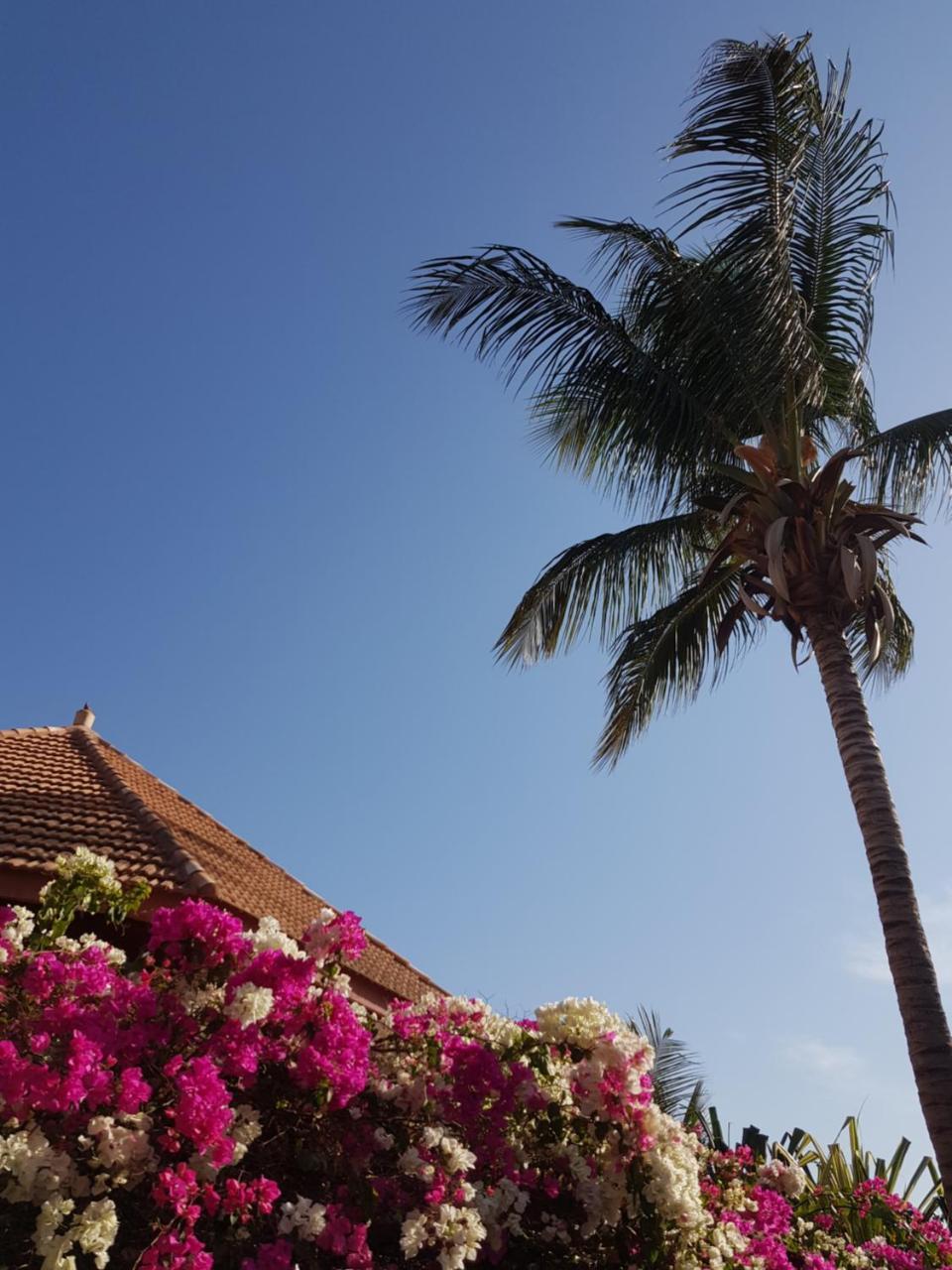 Villa Met Prive Zwembad In Residence Safari Village Сали Портудал Екстериор снимка